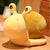 Snail Plush