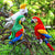 Parrot Stuffed Animal
