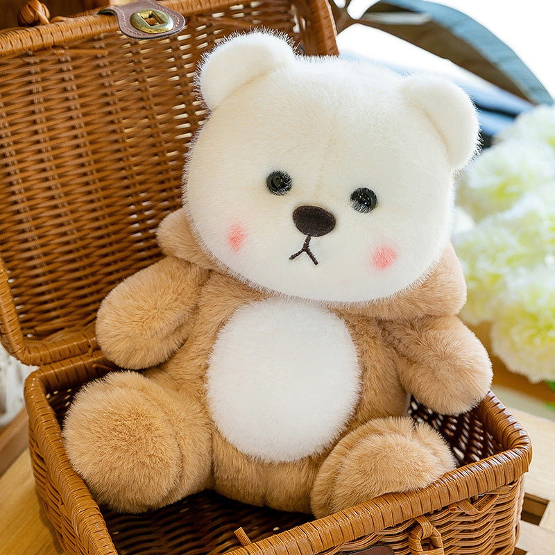 Ted Bear Toy