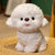 Bichon Plush