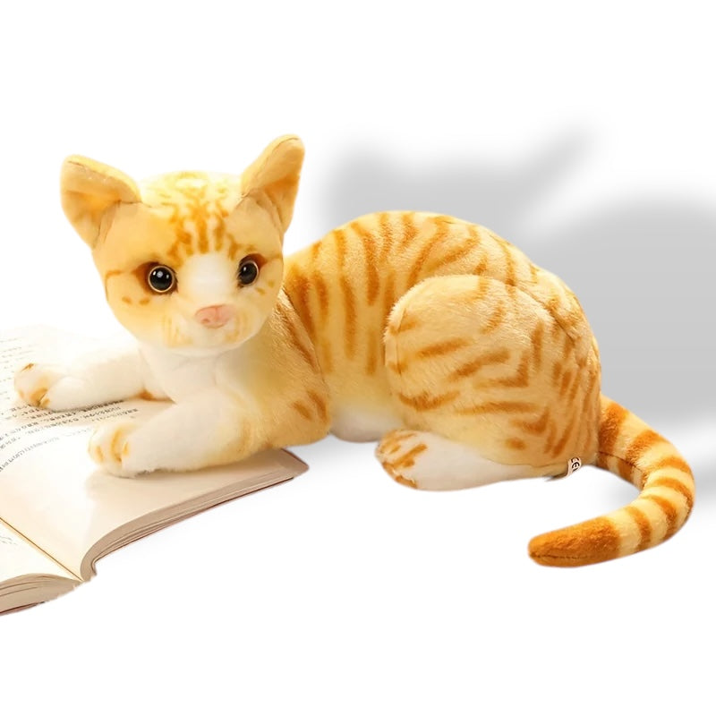 Cat Doll