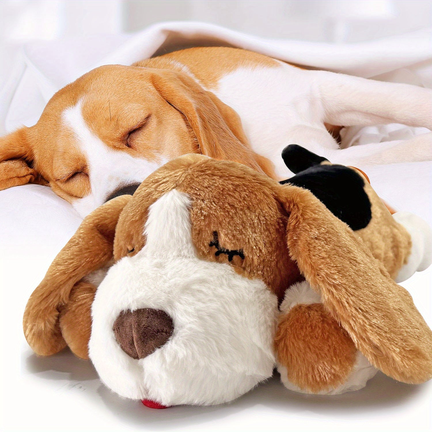 Dog Pillow