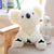 Koala Plush