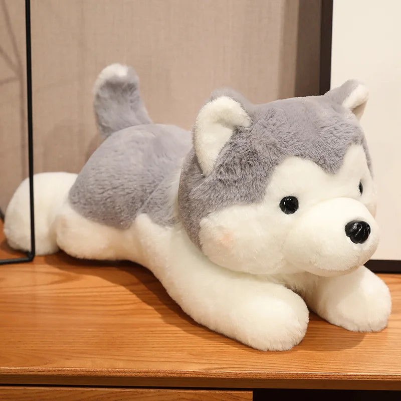 Husky Plush - Stuffed Plush Toys