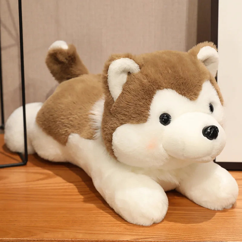 Husky Plush