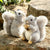 Squirrel Plush