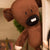 Kawaii Teddy Bear Plush Toy