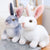 Realistic Rabbit Plush