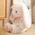 Bunny Teddy