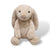 Stuffed Bunny
